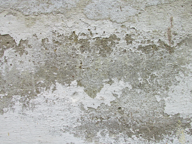 weathered, bad condition, nature, no people, white, foam, ice, day, plant, full frame, old, concrete wall, aerial view, tar, landscape, ground, texture