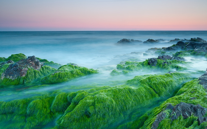 beside, body, mountains, rocky, 2K, algae, large, green, rocks, water