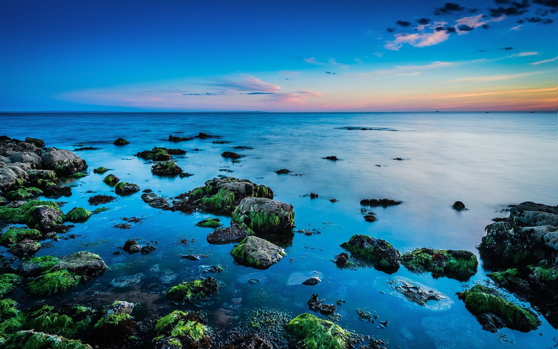 Sea, Sunrise, Beautiful, Skyline, Coast, Rocks, 1080P, Algae