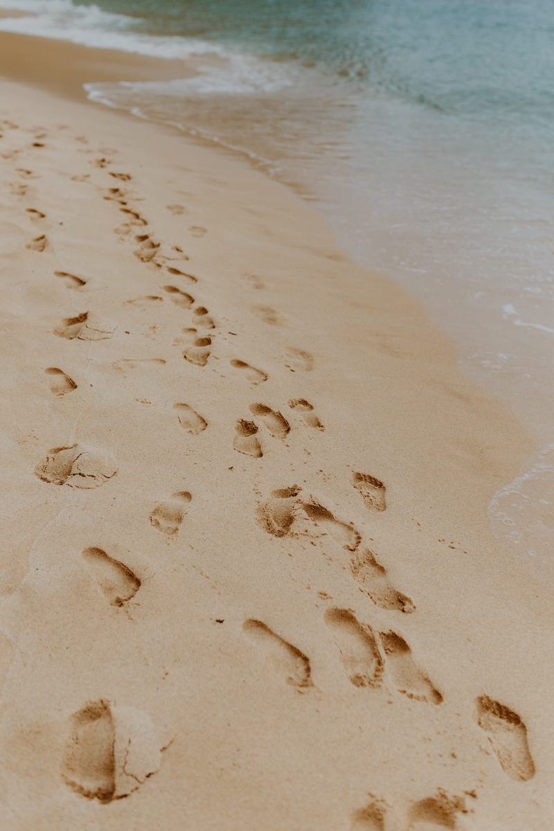 walk, portugal, no people, shore, 4K, brown, land, absence, Europe, paw print, print, day, ocean, sandy, water, outdoors, sea, footprint, algarve, high angle view