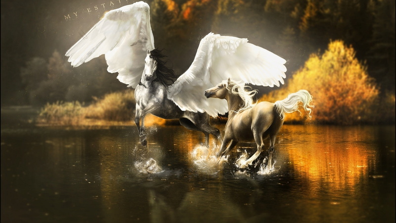 swan, flying, nature, animal wildlife, Pegasus, animal, flapping, no people, day, group of animals, vertebrate, waterfront, water, bird, animal themes