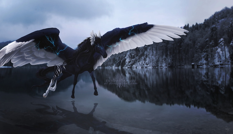 nature, flying, motion, day, sky, spread wings, mid-air, water, Fantasy, one animal, outdoors, black pegasus, full length, 1080P, bird, animal wildlife