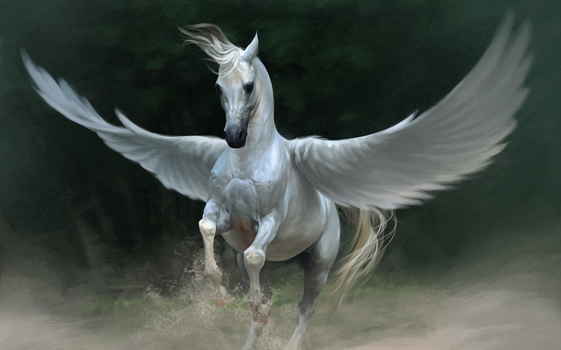 pegasus, download 3840x2400 pegasus, wings, 4K, horse backgrounds