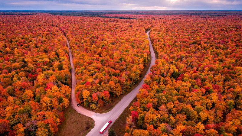 united states, autumn landscape, tranquility, growth, 1080P, environment, beauty in nature, autumn, day, red, change, forest, outdoors, nature, tree, land