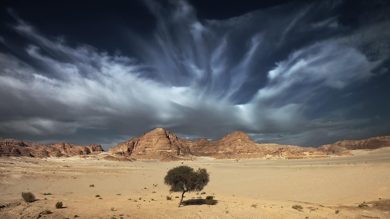 tranquil scene, rock, storm, sand, scenics - nature, semi-arid, tranquility, non-urban scene, plateau, dramatic sky, lonely tree, arid climate, land, climate