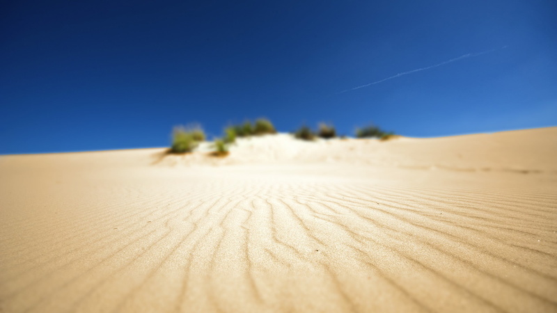 beach, travel Locations, landscape, wind, desert, scenics, depth of field, footprint, extreme Terrain, summer, vacations, beauty In Nature, tourism, dry