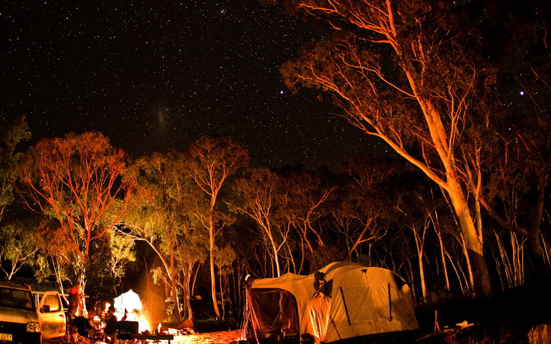 1080P, camping, fire, nature, camp, hd, night, stars, trees