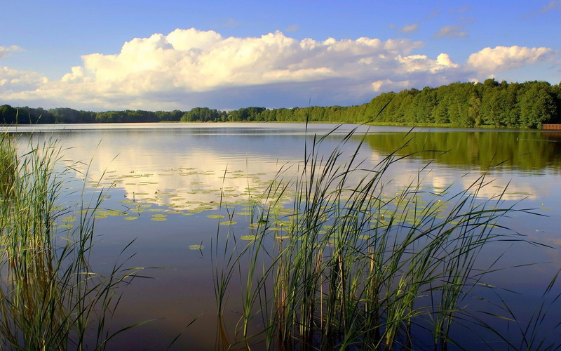 lake, fishing, 3d and abstract, big, 1080P, spot, big lake