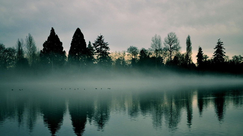 1080P, picture, morning, lake, photo, 3d and abstract, quiet, 2012, foggy