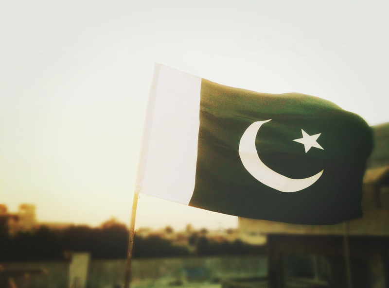 star shape, th, nature, 4K, white, no people, sunlight, tree, sunset, independence, focus on foreground, day, flagploe, patriotism, environment, outdoors