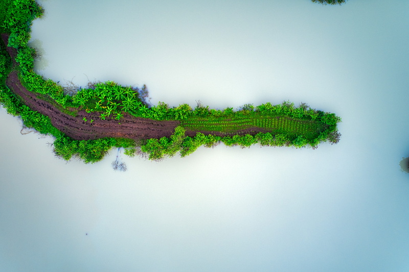 green, farm, outdoors, birds eye view, scenics - nature, sky, lake, bird, cropland, from above, grow, tree, land, aerial footage, tranquil scene, tranquility