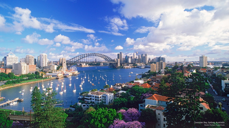 Oceania, 2K, lavender, sydney, bay, australia