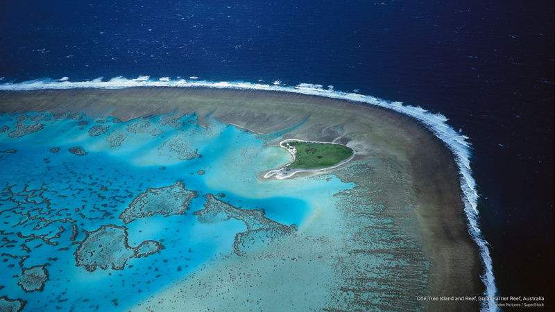 australia, reef, one, tree, island, great, Oceania, barrier, 2K