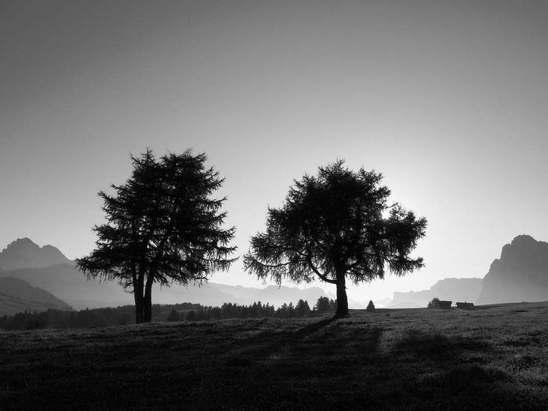 sunset, forest, grass, sunrise - Dawn, hill, scenics - nature, black And White, non-Urban Scene, tranquility, slope, travel, outdoors, mountain, two, plant