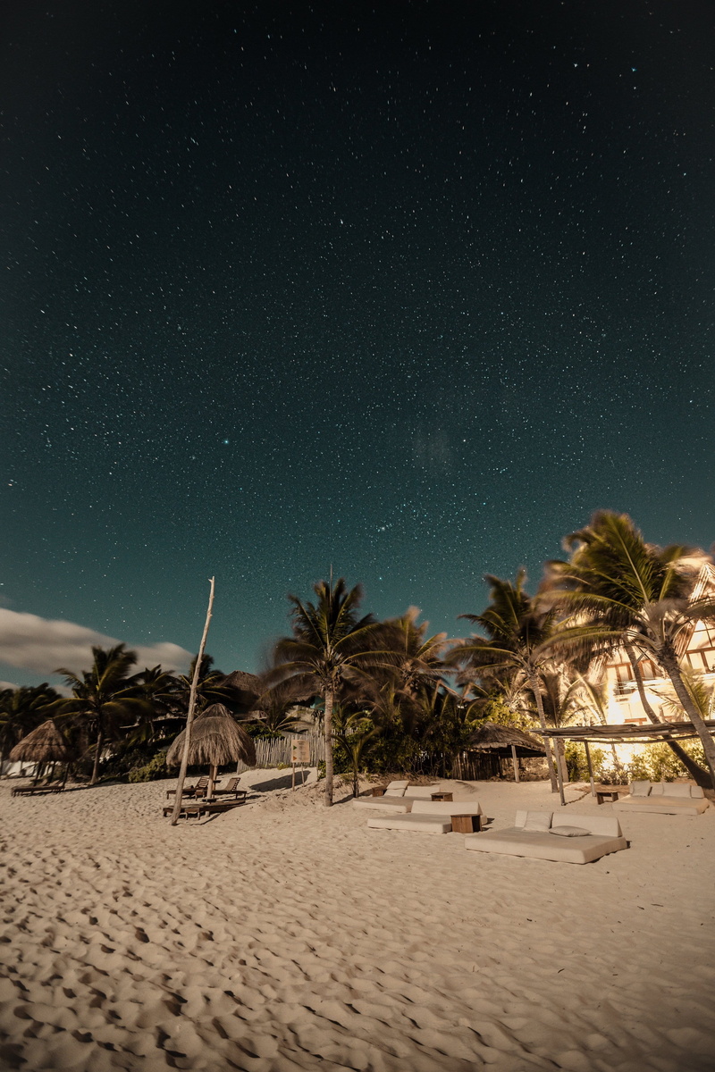 palm tree, long exposure, sky, plant, land, space, astronomy, nature, star - space, mexico, night shot, scenics - nature, sand, 2K, palm, loungers, starry night