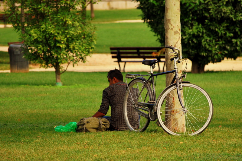 garden, park, man, tree, real people, casual clothing, vagabond, plant, sitting, leisure activity, green color, nature, 2K, mode of transportation, bicycle
