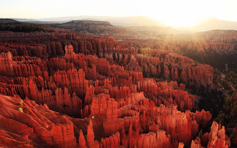 no people, windows, grand, canyon, geology, scenics - nature, beauty in nature, rock - object, remote, tranquil scene, travel, plant, bryce
