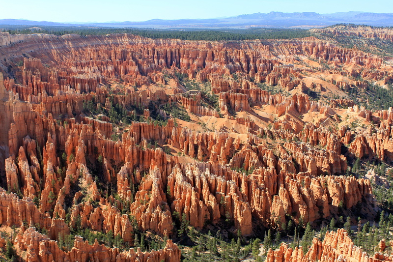 sandstone, famous Place, bryce Canyon, scenics, climate, remote, desert, tree, orange Color, no People, outdoors, park - Man Made Space, panoramic, beautifully