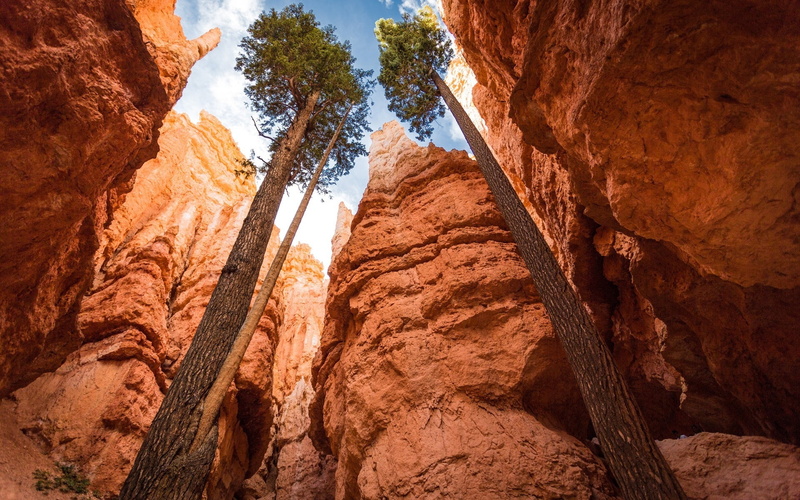 bryce, 1080P, national, park, canyon