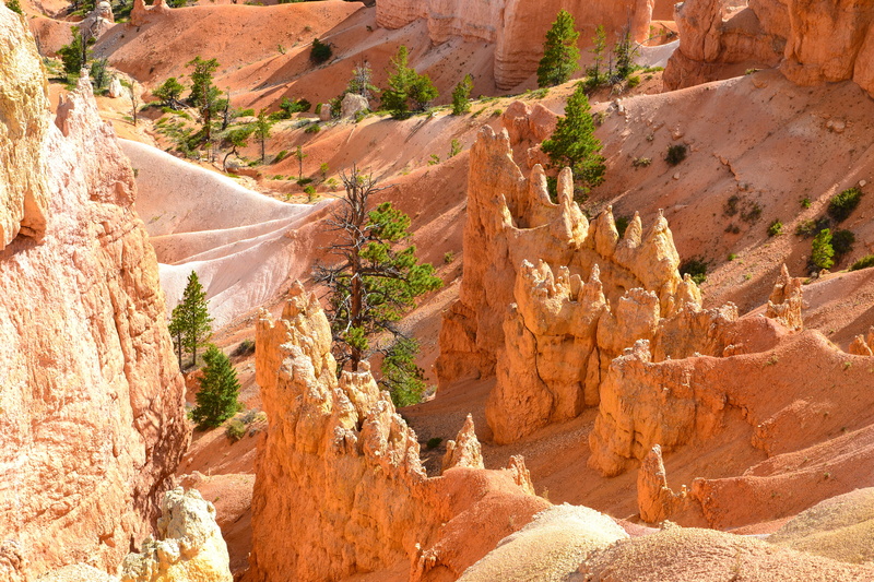 travel Locations, sunlight, stone - Object, scenics, no People, orange, Usa, geology, eroded, scenics - nature, outdoors, tranquil scene, rock formation
