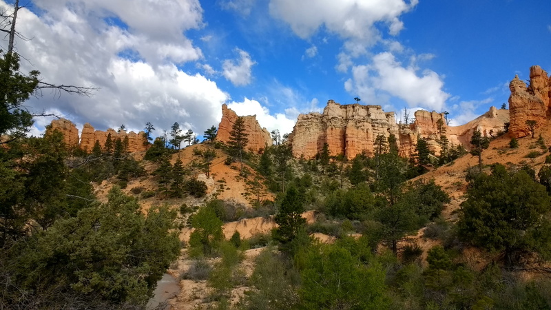trees, nature, tree, national park, view nature, non-urban scene, utah, plant, tranquility, travel destinations, pine tree, beauty in nature, southwest