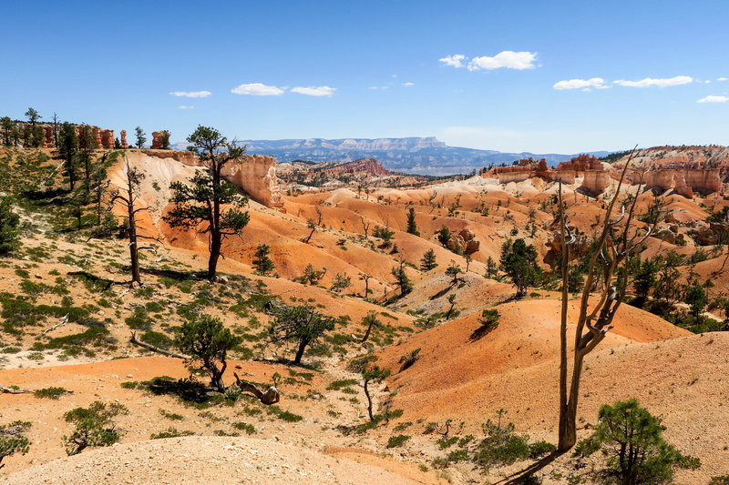 mountain range, bryce, scenics - nature, remote, bryce canyon, rock - object, hiking, physical geography, 4K, nature, hoodoo, trees, beauty in nature