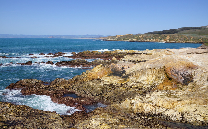 Spring, sur, stockphoto, April, Alpha, strand, foto, big, Picture, unitedstates, America, geotagged, fruhling, hires, sanluisobispo, amerika, Sony, pazifik