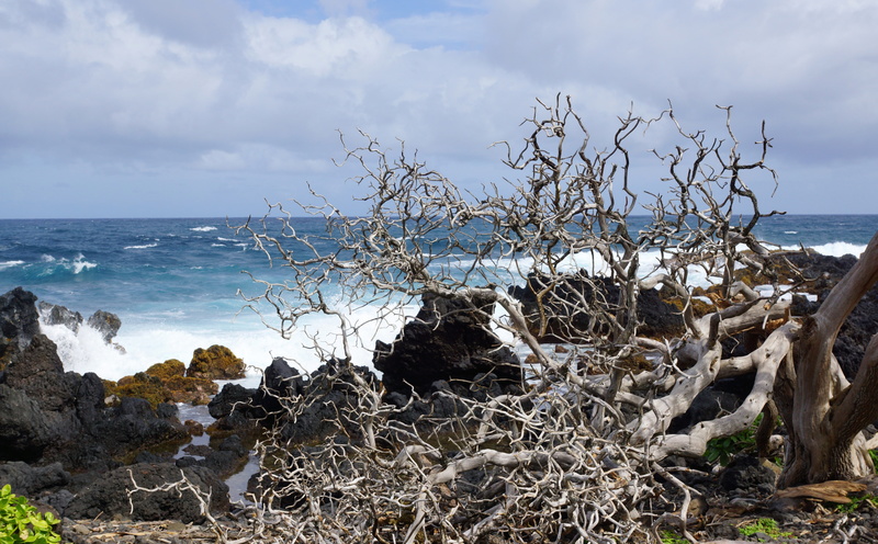 cloud - sky, rock, no people, slta77, scenics - nature, outdoors, non-urban scene, februar, hawai, resolution, Hawaii, horizon over water, amerika, sky