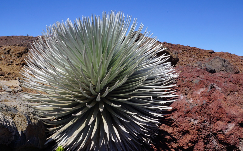 amerika, desert, Alpha, national, no people, nature, solid, commons, hawai, sunlight, resolution, tranquility, day, Picture, scenics - nature, sky, Islands