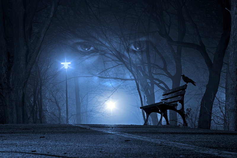 no people, atmosphere, dark, fantasia, eyes, pets, animal wildlife, 5K, dream, mystic, gloomy, domestic animals, fantastic, outdoors, night, horse, street lights