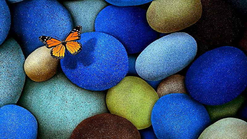 stones, 4K, gravel, butterfly