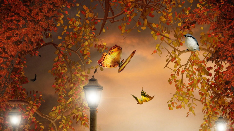 bright, 3d and, fantastic, gold, butterflies, lighting, autumn, 1080P, orange, lights, bird, light, persona, fall, falls, lamps