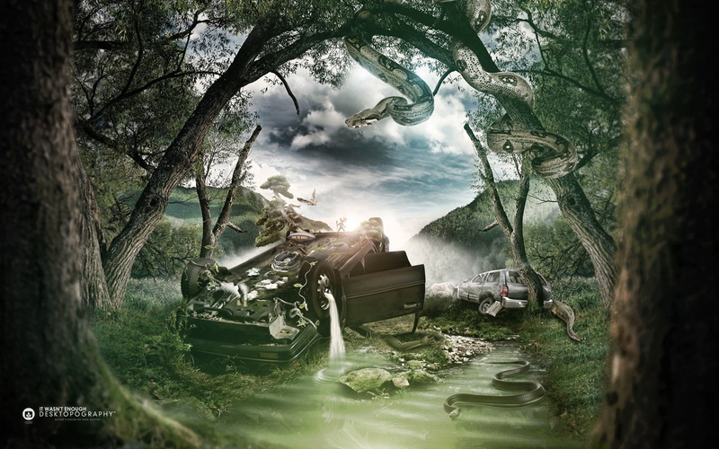 tree trunk, plant, snake, growth, forest clearing, car, environment, river, sky, Desktopography, forest, transportation, rotting, flowing water, digital art