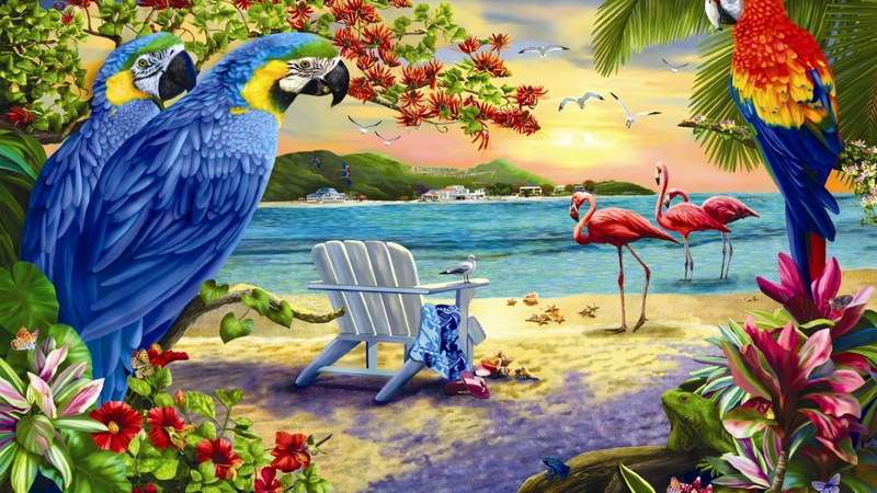 day, vertebrate, blue, parrot, animal wildlife, 720P, animal themes, macaw, water, group of animals, sea, Blau, nature, beauty in nature, Rot, animals in the wild