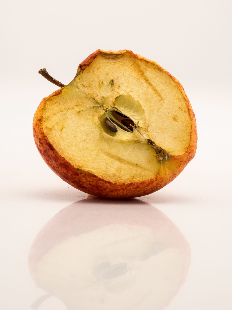 dried, isolated, Dried apple, indoors, close-up, apple - fruit, still life, white background, organic, slice, cross Section, healthy Eating, rotting, wellbeing