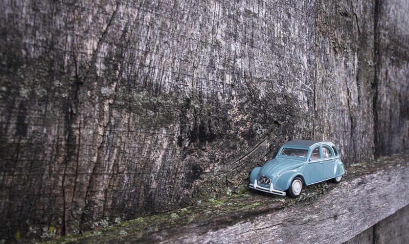 pension, green, cast, transportation, road trip, speed, ride, bare tree, journey, day, straight, tree, fast, vintage, adventure, up, fun, soul, beetle