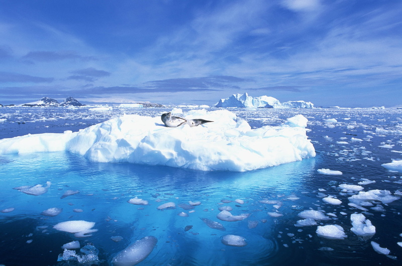 frost, floating On Water, jokulsarlon Lagoon, glacier, backgrounds, season, antarctica, beauty In Nature, cold temperature, scenics, iceland, antarctic Ocean