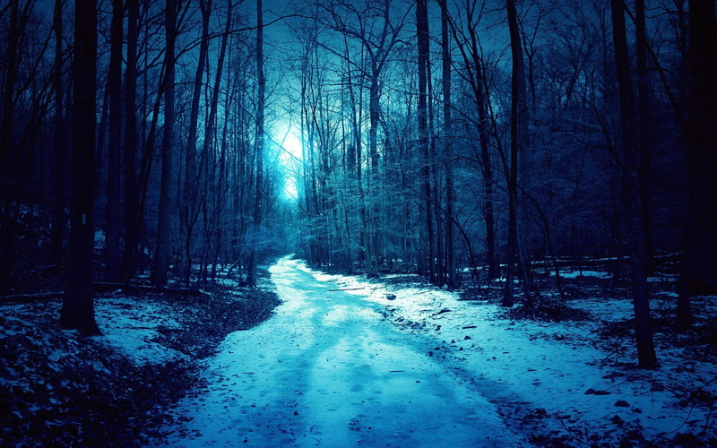 covered, hd, trees, path, trail, snow, nature, 1080P, winter, pathway, forest