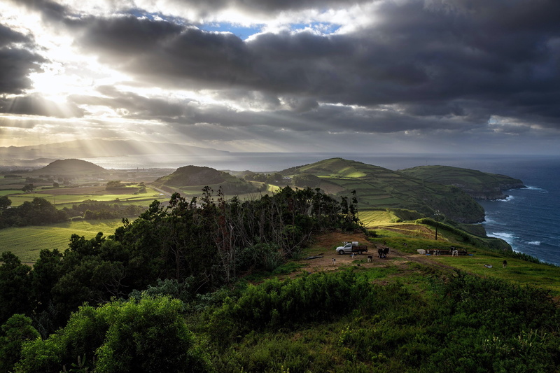 mountains, eye, trees, sun, pine, 2K, azores hills, view, sunlight, forest, Portugal, eagle, pines, Azores