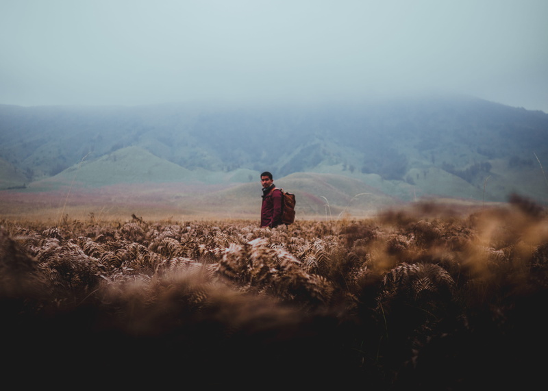 dry season, adventure, travel, people, healthy Lifestyle, man, beauty In Nature, outdoors, hill, jacket, males, standing, landscape, love, color, field
