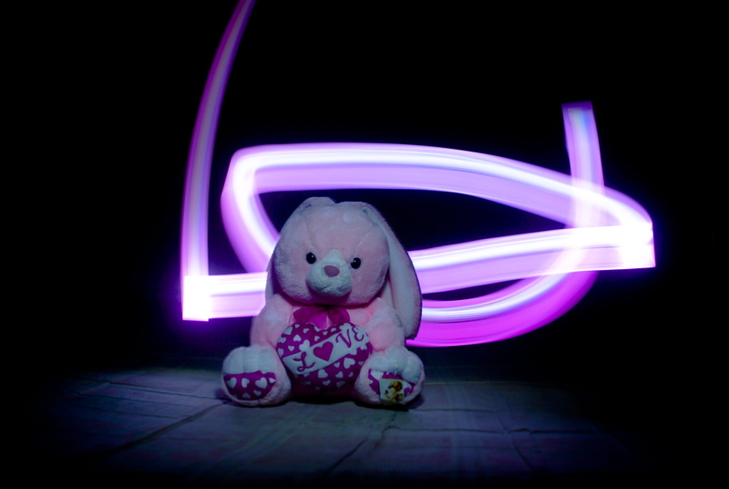 long exposure, animal, motion, pink color, dark, celebration, black background, pink, child, innocence, fun, little, 4K, toy, animal themes, emotion, creativity