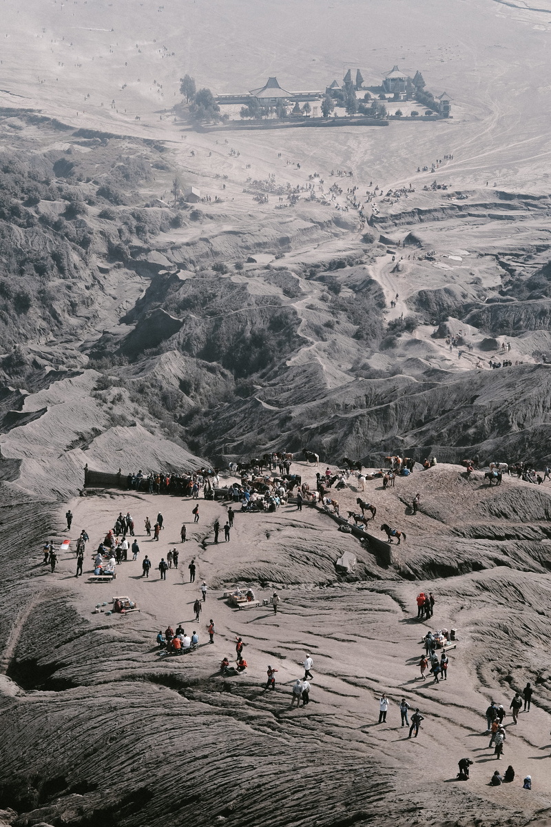 group, wanderlust, travel, hill, scenics, savana, landscape photography, east java, landscape, explore, hike, 4K, nature, top of mountain, tourist, walk