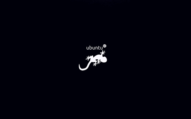 1080P, Linux, Salamander, Ubuntu, Technology