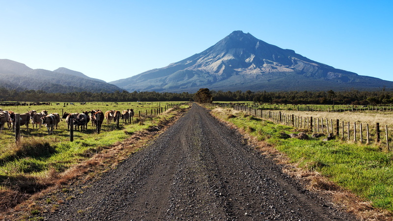 USM, 1080P, S17, landscape, farm, post, scenics, native, Egmont National Park, New Zealand, field, Range  road, grass, Pouakai, Mount Egmont, water, mountain