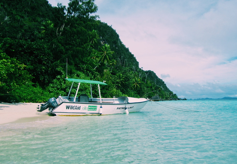tranquility, waterfront, green color, plant, mode of transportation, indonesia, wilderness, travel, non-urban scene, growth, sea, beauty in nature, scenics - nature