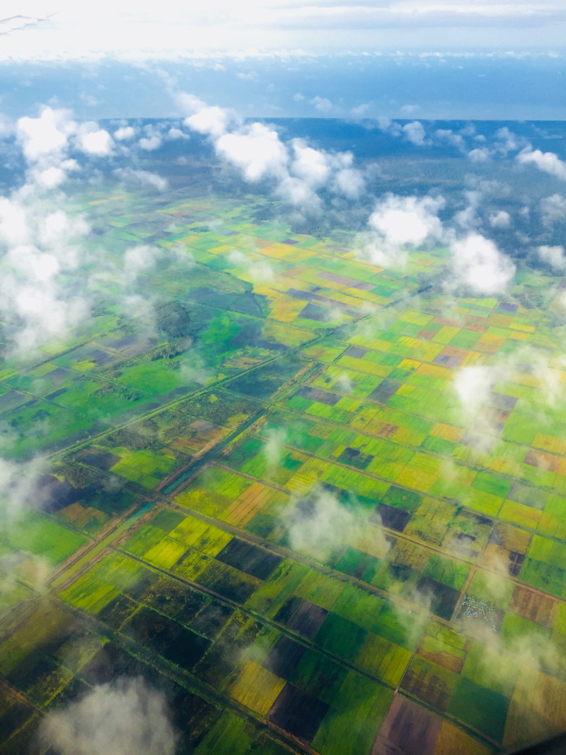 tranquility, cloud - sky, day, sky view, idyllic, rice fields, outdoors, green, green color, tree, scenics - nature, land, aerial view, no people, 2K