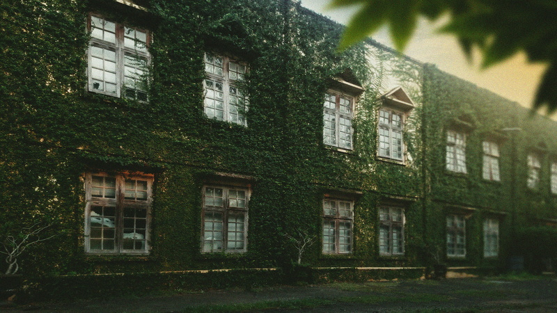 architecture, low angle view, building, factory, overgrown, built structure, nature, trees, ivy, sunlight, tree, building exterior, jepara, plant, 4K