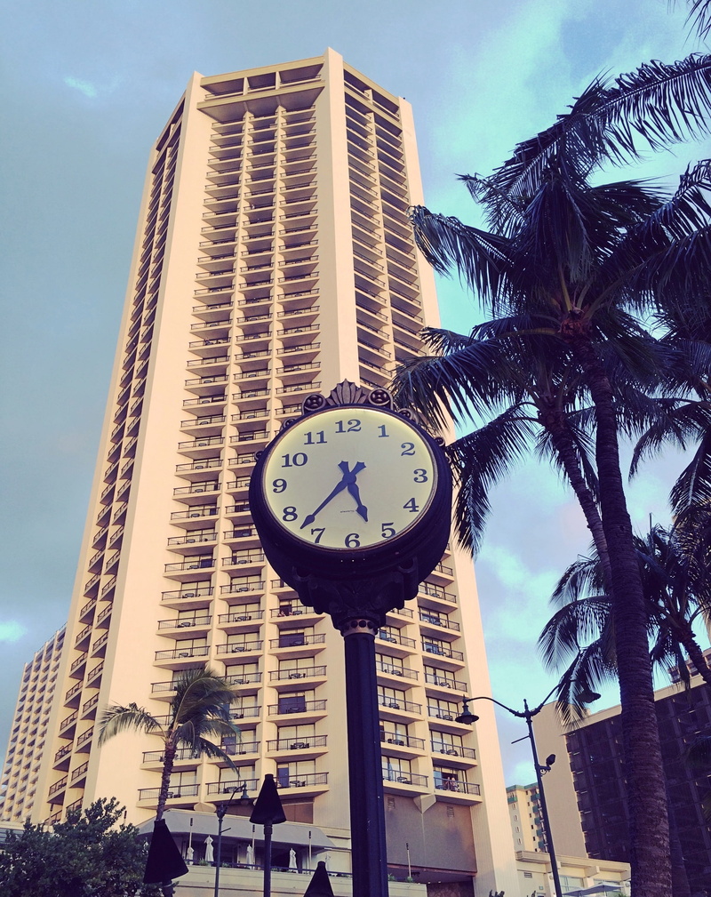 hawaii, 2K, time, plant, no people, hotel, luxury, hyatt, honolulu, building exterior, structure, palm, financial district, office building exterior, tower
