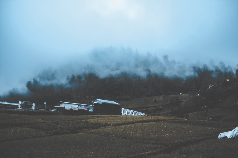 fog, farm, kendal regency, mountain, nature, sky, trees, scenics - nature, transportation, landscape, land, wet, beauty in nature, plant, outdoors, no people