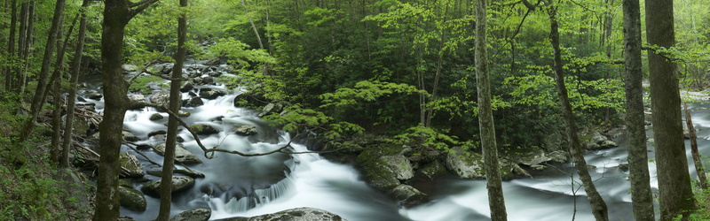 4K, Creek, Trees, Great, Rocks, Mountains, Smoky, USA, Tennessee, Tremont